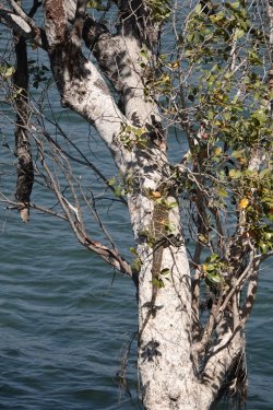 DSC08851.JPG DSC08851.JPG