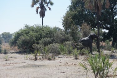 08031308.JPG 08031308.JPG