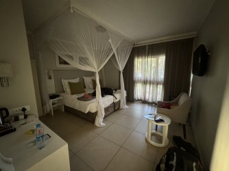 IMG_1733.JPG IMG_1733.JPG