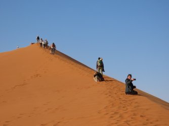 IMG_6781.jpeg IMG_6781.jpeg