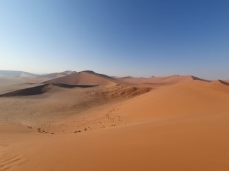 3a558988-7a91-4383-aa2b-bb28077a4a3a.jpeg 3a558988-7a91-4383-aa2b-bb28077a4a3a.jpeg