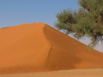 IMG_6825.jpeg IMG_6825.jpeg