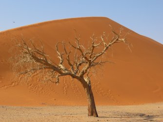 IMG_6823.jpeg IMG_6823.jpeg