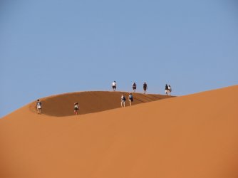 IMG_6812.jpeg IMG_6812.jpeg