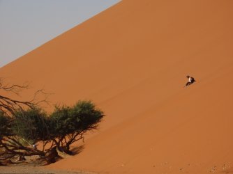 IMG_6802.jpeg IMG_6802.jpeg