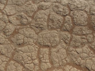 IMG_6832.jpeg IMG_6832.jpeg