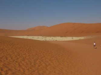 IMG_6833.jpeg IMG_6833.jpeg