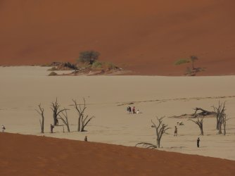 IMG_6834.jpeg IMG_6834.jpeg