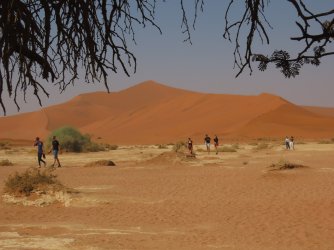 IMG_6838.jpeg IMG_6838.jpeg