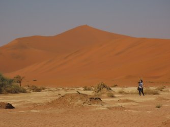 IMG_6841.jpeg IMG_6841.jpeg