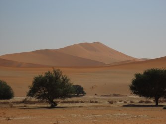 IMG_6849.jpeg IMG_6849.jpeg