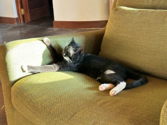 IMG_4307.jpeg IMG_4307.jpeg