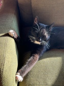 IMG_4308.jpeg IMG_4308.jpeg