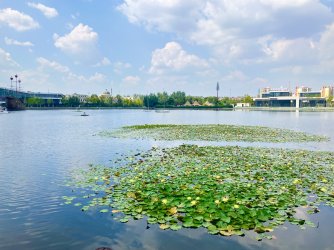 IMG_1691.jpeg IMG_1691.jpeg