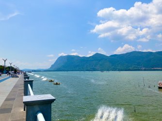 IMG_1771.jpeg IMG_1771.jpeg