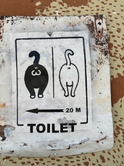 IMG_4352.jpeg IMG_4352.jpeg