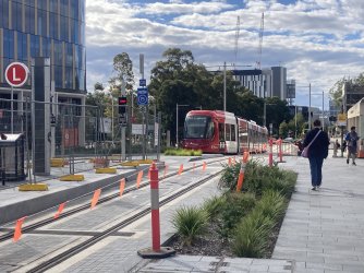 IMG_8712.jpeg IMG_8712.jpeg