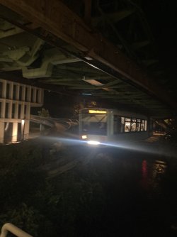 IMG_1175.jpeg IMG_1175.jpeg