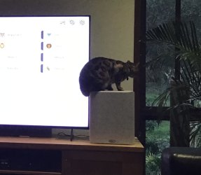 IMG_0572.jpeg IMG_0572.jpeg