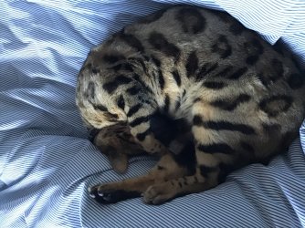 IMG_0578.jpeg IMG_0578.jpeg