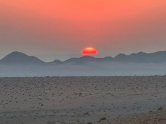 IMG_4319.jpeg IMG_4319.jpeg