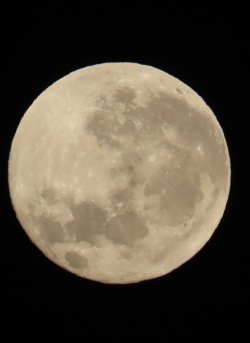 IMG_6872.jpeg IMG_6872.jpeg