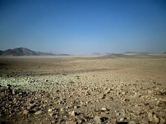 IMG_4331.jpeg IMG_4331.jpeg