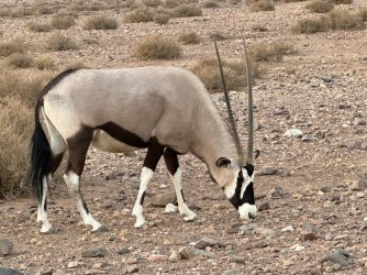 IMG_4333.jpeg IMG_4333.jpeg