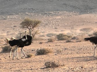 IMG_4336.jpeg IMG_4336.jpeg