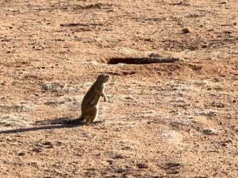 IMG_4359.jpeg IMG_4359.jpeg