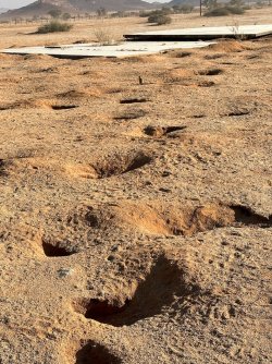 IMG_4360.jpeg IMG_4360.jpeg