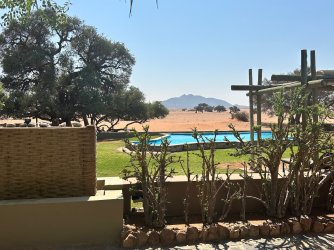 IMG_4206.jpeg IMG_4206.jpeg