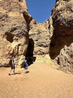 IMG_4212.jpeg IMG_4212.jpeg