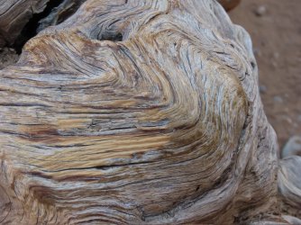 IMG_6858.jpeg IMG_6858.jpeg