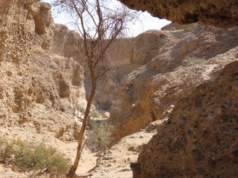 IMG_6857.jpeg IMG_6857.jpeg