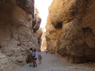 IMG_6869.jpeg IMG_6869.jpeg