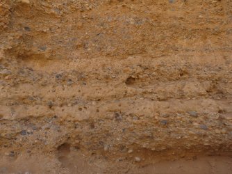 IMG_6856.jpeg IMG_6856.jpeg