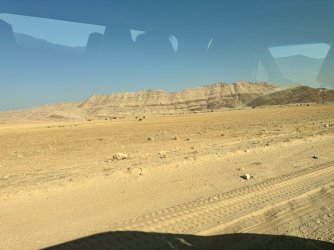 IMG_4367.jpeg IMG_4367.jpeg