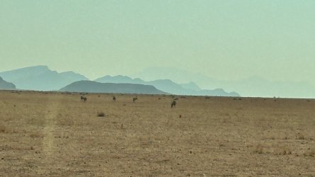 IMG_4371.jpeg IMG_4371.jpeg