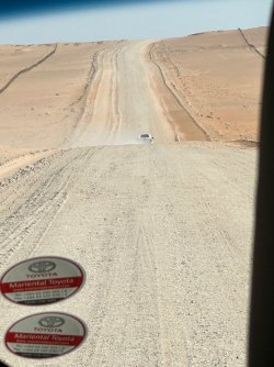 IMG_4377.jpeg IMG_4377.jpeg