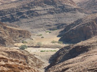 IMG_6879.jpeg IMG_6879.jpeg