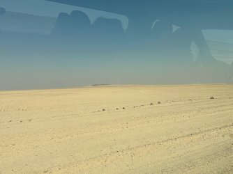 IMG_4408.jpeg IMG_4408.jpeg