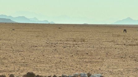 IMG_4370.jpeg IMG_4370.jpeg