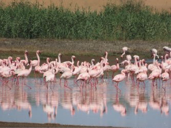 IMG_6890.jpeg IMG_6890.jpeg