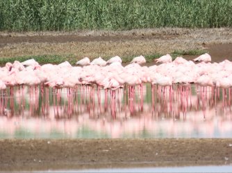 IMG_6887.jpeg IMG_6887.jpeg