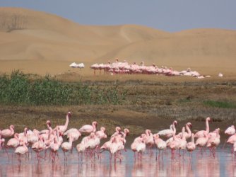 IMG_6892.jpeg IMG_6892.jpeg