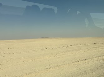 IMG_4408.jpeg IMG_4408.jpeg