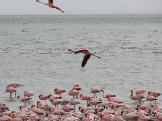 IMG_6908.jpeg IMG_6908.jpeg