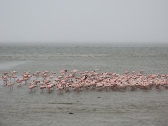 IMG_6894.jpeg IMG_6894.jpeg