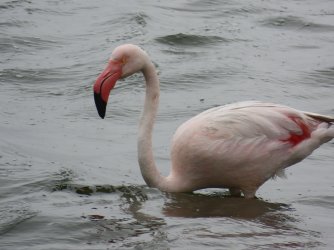 IMG_6899.jpeg IMG_6899.jpeg